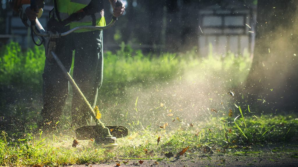 gardener mows weeds